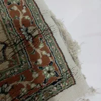 فرش دوازده متری قالیشویی دادم|فرش|قائم‌شهر, |دیوار