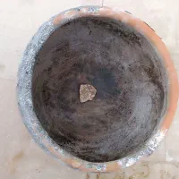 گلدان|گل و گیاه طبیعی|گلبهار, شهر جدید گلبهار|دیوار