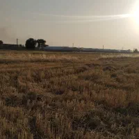 زمین-سرچشمه-سفلی-رامهرمز