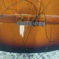 گیتار پارسی معمولی|گیتار، بیس، امپلیفایر|مهدی شهر, |دیوار