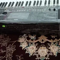 اُرگ پیا ششصد کیوتی