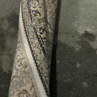 فرش|فرش|چالوس, |دیوار