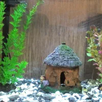 خرگوش و ماهی و کبوتر|موش و خرگوش|شهرکرد, |دیوار