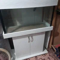 اکواریوم یک متری با پایه ام دی اف سفید رنگ|ماهی|اردبیل, |دیوار
