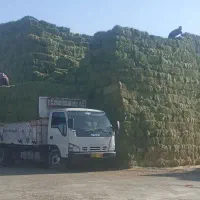 بیده انباری یونجه انباری بردسیر دشتکار