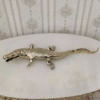 تمساح برنزی