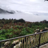 ۲عددزمین مسکونی