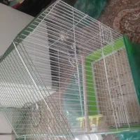 معاوضه با قفس گرد