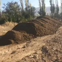 کود گاوداری صنعتی|خدمات باغبانی و درختکاری|جهرم, |دیوار