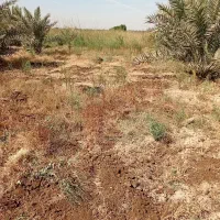 شخم زدن با تیلر|خدمات باغبانی و درختکاری|آبادان, |دیوار