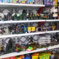 آکواریوم دلفین|ماهی|چابهار, |دیوار