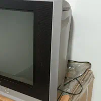 تلویزیون