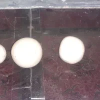 الماس آسیاب با.وزن 196۰ویکی 153.92