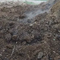 کود حیوانی برای  و درخت کاری|خدمات باغبانی و درختکاری|اندیمشک, |دیوار