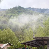 کار در رستوران و ماهی کباب نیلگون