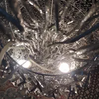 اباژور کنار سالنی|چراغ خواب و آباژور|تهران, ایوانک|دیوار