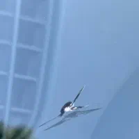 ترمیم شیشه خودرو فوری در تهران و حومه