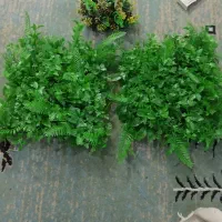 آکواریوم ولوازم|ماهی|زاهدان, |دیوار