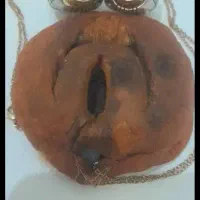 مهره فرج الضبعه
