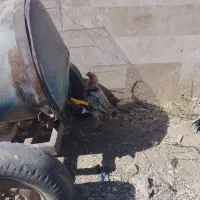 مرغ و خروس|حیوانات مزرعه|نورآباد, |دیوار