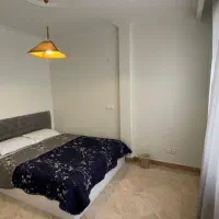 اجاره روزانه آپارتمان مبله دوخواب شیک ونک /شمال|اجارهٔ کوتاه‌مدت آپارتمان و سوئیت|تهران, ده‌ونک|دیوار