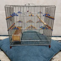 یک عدد قفس دستباف زیر بافت سهره قناری درحد نوتمیز|لوازم جانبی حیوانات|شیراز, کوشک میدان|دیوار