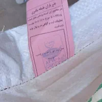 بذر گندم از نوع باران و مادری (دست اول)|عمده‌فروشی|همدان, |دیوار