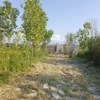 ۴۳متر دور دیوار پاره بیجار