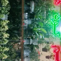 واگذاری لوازم گلفروشی.