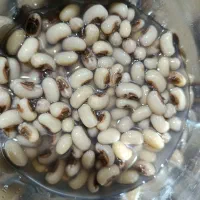 لوبیا چشم بلبلی