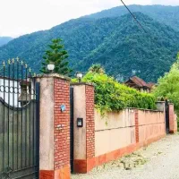 زمین231متریVIP مناسب سرمایهگذاری سندتک برگ تنکابن|فروش زمین و ملک کلنگی|خرمآباد (تنکابن), |دیوار