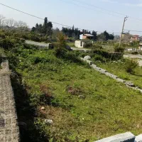 زمین ۲۰۰م داخل بافت دونبش