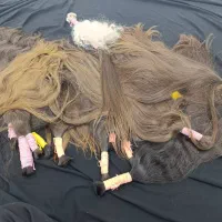 خریدار موی شما هستم