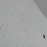 رنگ کاری و نقاشی ساختمان