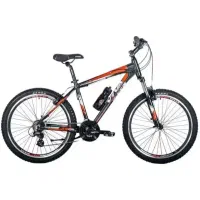 دوچرخه ۲۶ ویوا پونتو ( اصل تایوان )