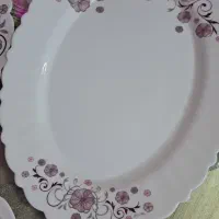 سرویس ارکوپال|ظروف سرو و پذیرایی|قرچک, زیبا شهر|دیوار