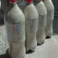 بذر درمانی