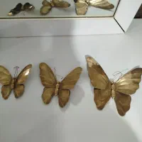پروانه برنجی