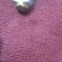 انگشتر شجر|جواهرات|بم, |دیوار