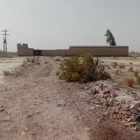 زمین دارای سندتک برگ|فروش زمین و ملک کلنگی|زهک, |دیوار