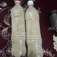 بزر کشاورزی