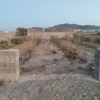 باغچه به متراژ ۵۱۰متر در صفادشت|فروش زمین و ملک کلنگی|صفادشت, |دیوار