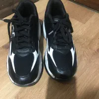 کفش|کیف، کفش، کمربند|تهران, دریاچه شهدای خلیج فارس|دیوار