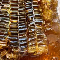 عسل درمانی کوههای ماهاران