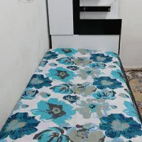 تخت و کمد|تخت و سرویس خواب|شیراز, شهدای شهرک سعدی|دیوار