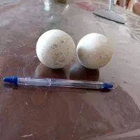 سنگ آسیاب