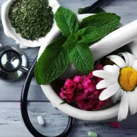 آموزش آنلاین و رایگان ویژه بانوان