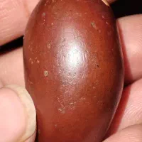هبهاب احمر عتیقه
