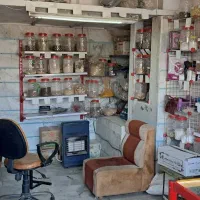 فروش عطاری