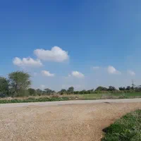 فروش-یک-هکتار-و-نیم-زمین-کشاورزی